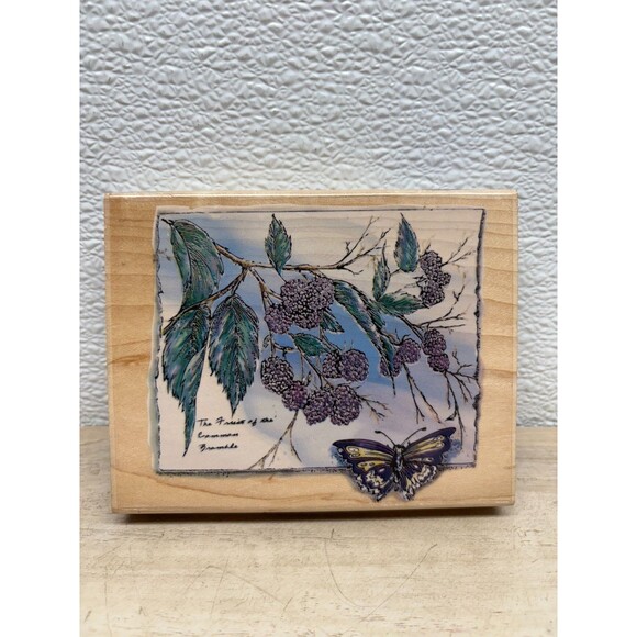 Stampabilities Bramle Berry Sketch Wood Mounted Rubber Stamp - Picture 1 of 5